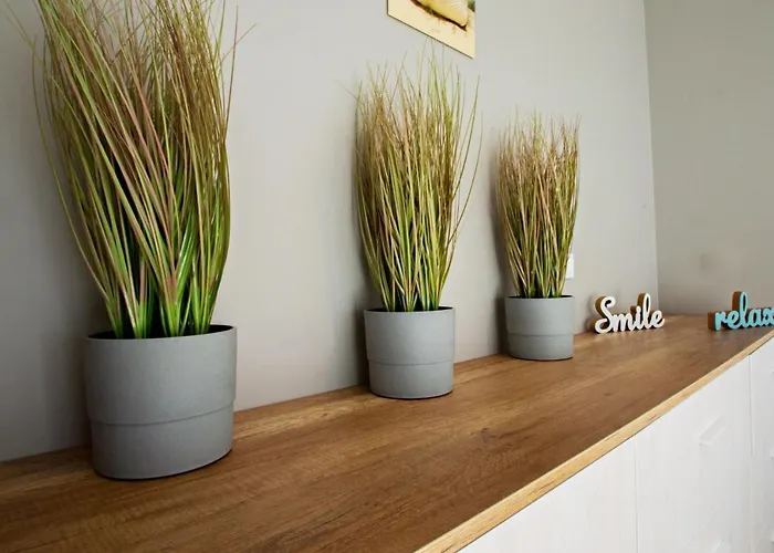 Grand - Neptun Park. Apartment *